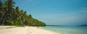 Maldives and Andaman & Nicobar Island